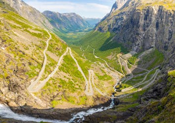 Cruise ship shore excursion from Ålesund to Trollstigen for 9-15 persons
